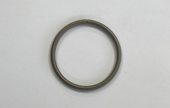 garterspring.jpg
